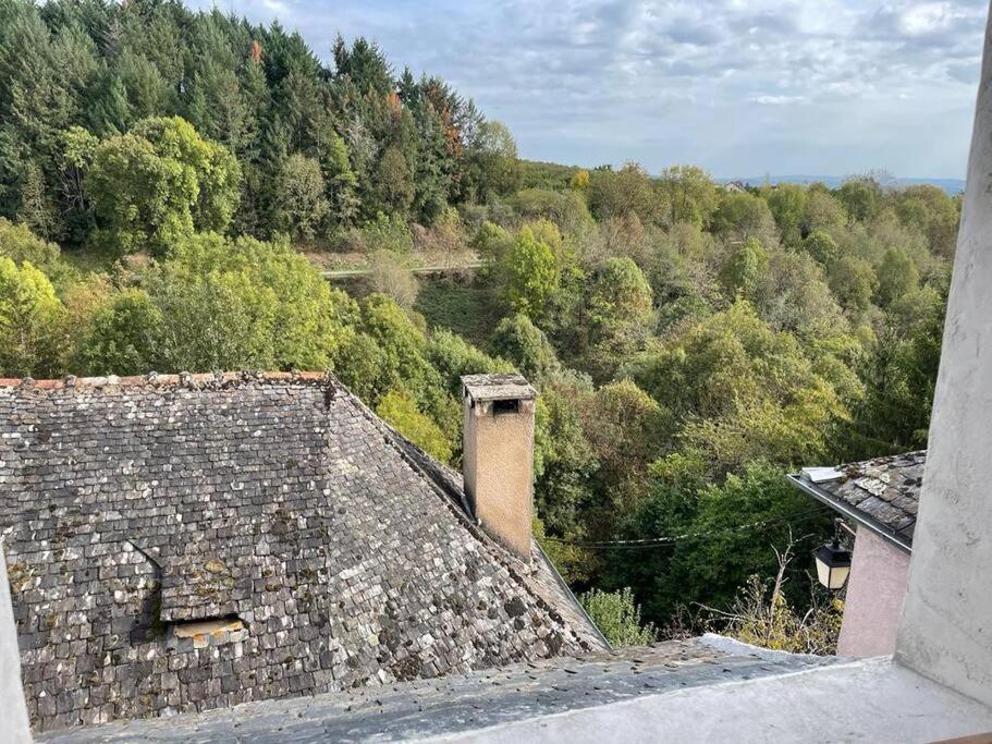 Maison De Village Avec Vue 4/5 Personnes Lou Rouchou Voutezac Exteriér fotografie