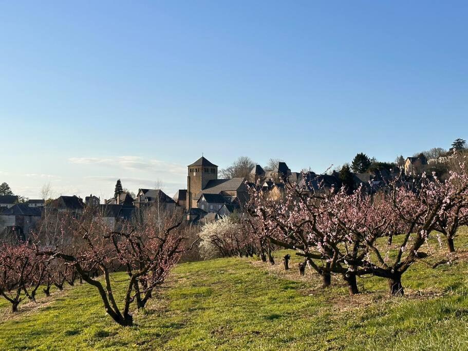 Maison De Village Avec Vue 4/5 Personnes Lou Rouchou Voutezac Exteriér fotografie